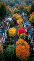 Vibrant autumn colors paint a charming neighborhood lined with beautiful trees and cozy homes in the afternoon light photo