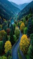 Scenic autumn landscape along a winding road beside a river in the mountains during twilight photo