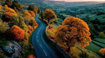 Scenic autumn landscape with winding road surrounded by vibrant orange trees at sunset in countryside photo
