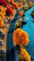 Vibrant autumn foliage along a winding river road in a serene landscape during golden hour photo
