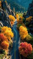 Vibrant autumn colors illuminate a winding road through rocky canyons in a serene landscape photo