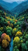 Vibrant autumn foliage over a river winding through a mountainous valley in the early morning light photo