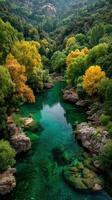 Tranquil river surrounded by lush green and autumn-colored trees at midday in a serene forest area photo
