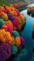 Vibrant autumn landscape with colorful trees lining a shimmering river photo