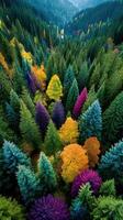 Vibrant autumn landscape showcasing diverse tree colors in a lush forest setting during the fall season photo