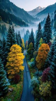 Beautiful autumn landscape with colorful trees and winding road in the mountains at dawn photo