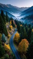 Autumn morning landscape showcases winding road through misty mountains with vibrant foliage in serene nature photo