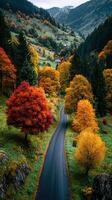 Colorful autumn landscape with winding road and vibrant trees in a serene valley photo