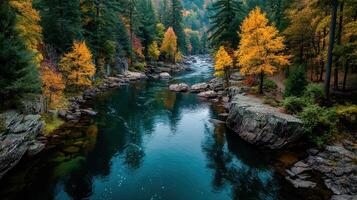 Autumn view of a tranquil river surrounded by colorful trees in a serene natural setting photo