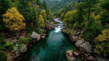 Scenic river flows through lush forest during autumn in mountainous region photo