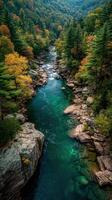 Serene river flows through vibrant autumn forest in a secluded mountain valley photo