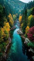 Autumn foliage along a tranquil river in a forested valley at midday photo