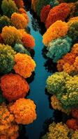 Vibrant autumn foliage surrounding a serene river viewed from above in a picturesque natural landscape photo