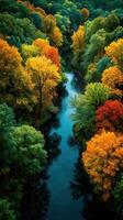 Colorful autumn foliage along a serene river in a lush forest during a calm afternoon photo