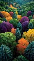 Vibrant autumn landscape showcasing colorful trees in a forest during a sunny afternoon photo