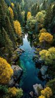 Vibrant autumn colors reflected in a tranquil forest river surrounded by rocks and trees in a serene natural setting photo