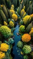 Autumn colors blanket the peaceful river in a forest landscape during early morning hours photo