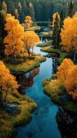Autumn foliage reflects in serene river surrounded by vibrant trees at dawn in a tranquil forest landscape photo