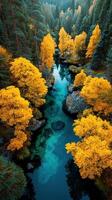 Vivid autumn colors surround a tranquil river in a dense forest during the golden hour in early fall photo