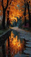 Autumn foliage reflects on a tranquil waterway lined with vibrant trees during golden hour photo