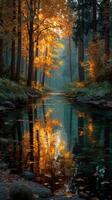 Autumn foliage reflecting in a tranquil river surrounded by towering trees in a peaceful forest setting photo