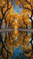 Golden autumn leaves reflect in tranquil water along a tree-lined pathway photo