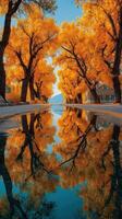 Vibrant autumn trees line a serene path with reflections in still water beneath a clear blue sky photo