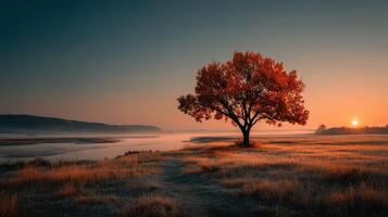 Sunrise over tranquil river with a solitary red tree in serene landscape during autumn photo