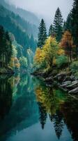 Serene forest landscape reflected in calm river during autumn in a misty environment photo