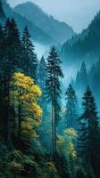 Dense forest with vibrant yellow trees amidst misty mountains during early morning hours photo