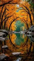 Colors of autumn create a stunning view along the riverbank surrounded by trees in a tranquil forest setting photo
