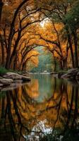 Vibrant autumn colors reflect in calm river at sunset surrounding tranquil forest photo