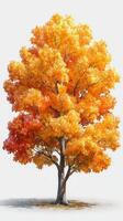 Vibrant autumn tree displays bright orange and yellow foliage in a serene landscape during fall season photo