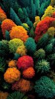 Bright autumn foliage covers a forested hillside in a vibrant display of colors during the fall season photo