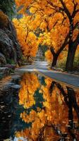 Vibrant autumn colors reflect on a serene roadside near a charming structure in a tranquil landscape photo
