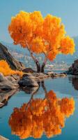 Vibrant autumn tree reflecting in calm water near rocky shore under clear blue sky photo