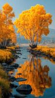Vibrant autumn trees reflect in tranquil stream at golden hour in serene landscape photo