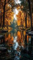 Autumn reflections on a tranquil river in a scenic forest setting during golden hour photo
