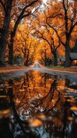 Beautiful autumn reflection on a tranquil country road lined with vibrant orange trees photo