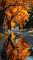 Autumn trees line a calm road reflecting vibrant colors of fall foliage in serene landscape setting photo