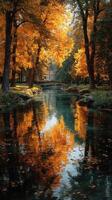 Autumn colors reflect on a tranquil river in a serene park setting during a sunny afternoon photo