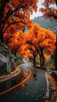 Vibrant autumn trees line a winding road in a mountainous landscape under gray skies photo