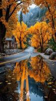 Beautiful autumn drive along a tree-lined road with reflections in puddles after rain photo