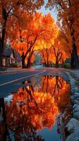 Vibrant autumn foliage reflected on a winding road in a serene rural setting during sunset photo