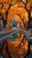 Vibrant autumn scenery along a serene winding road with colorful foliage and reflections in a water puddle photo