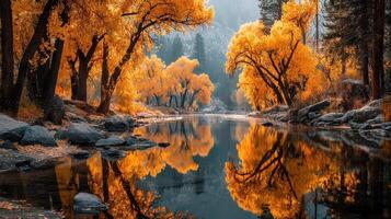 Vibrant autumn trees reflect in a calm river under soft morning light in a serene natural landscape photo