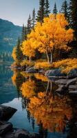 Autumn trees reflect on a calm lake at sunrise in a serene natural landscape photo
