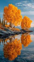 Golden autumn trees reflecting on calm lake water in a serene landscape under a clear sky photo