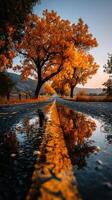 Autumn road reflecting vibrant trees and orange leaves during sunset in a serene landscape photo
