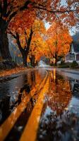 Vibrant autumn trees reflect in puddles along a winding country road in the heart of fall photo